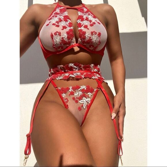 Sexy Floral Embroidery Sheer Underwire Lingerie Set